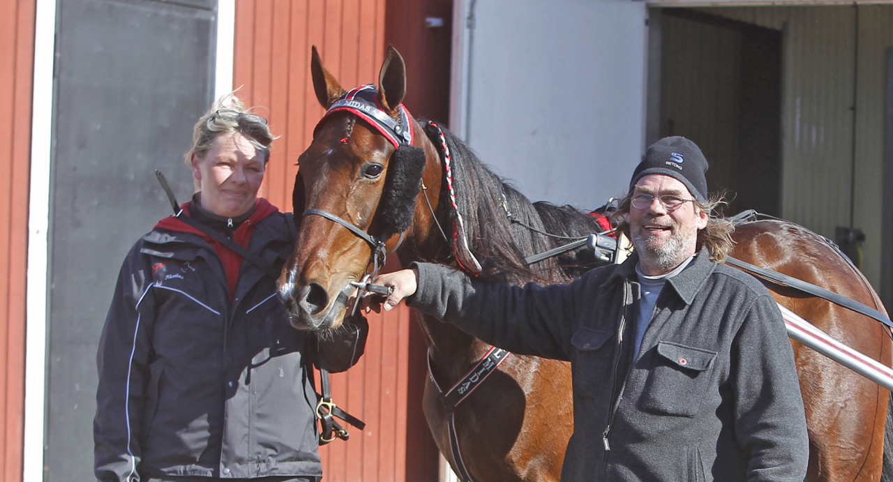 Nicolina och Fredrik Moxnesstillsammans med Purple Dream, mamma till lördagens Uppfödningsloppfinalist Midas Mirakel. Foto Micke Gustafsson/ALN