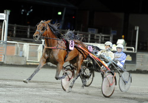 Nyförvärv med guldstam