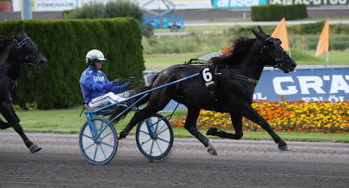 Kallbloden vinnare 2020!