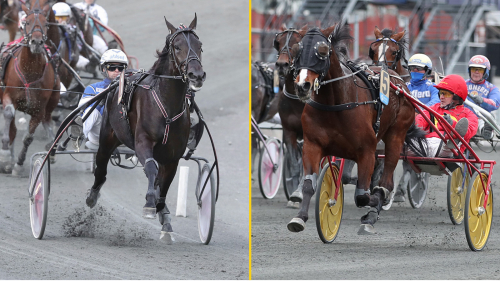 Stig H och Olle håller undan