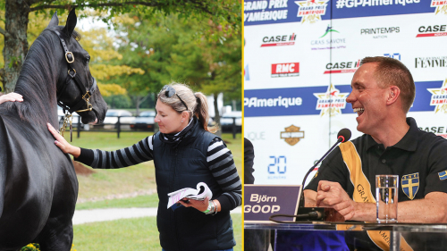 En kvinna och man av värld