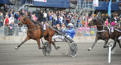 Västerbo Stuteri förstärker