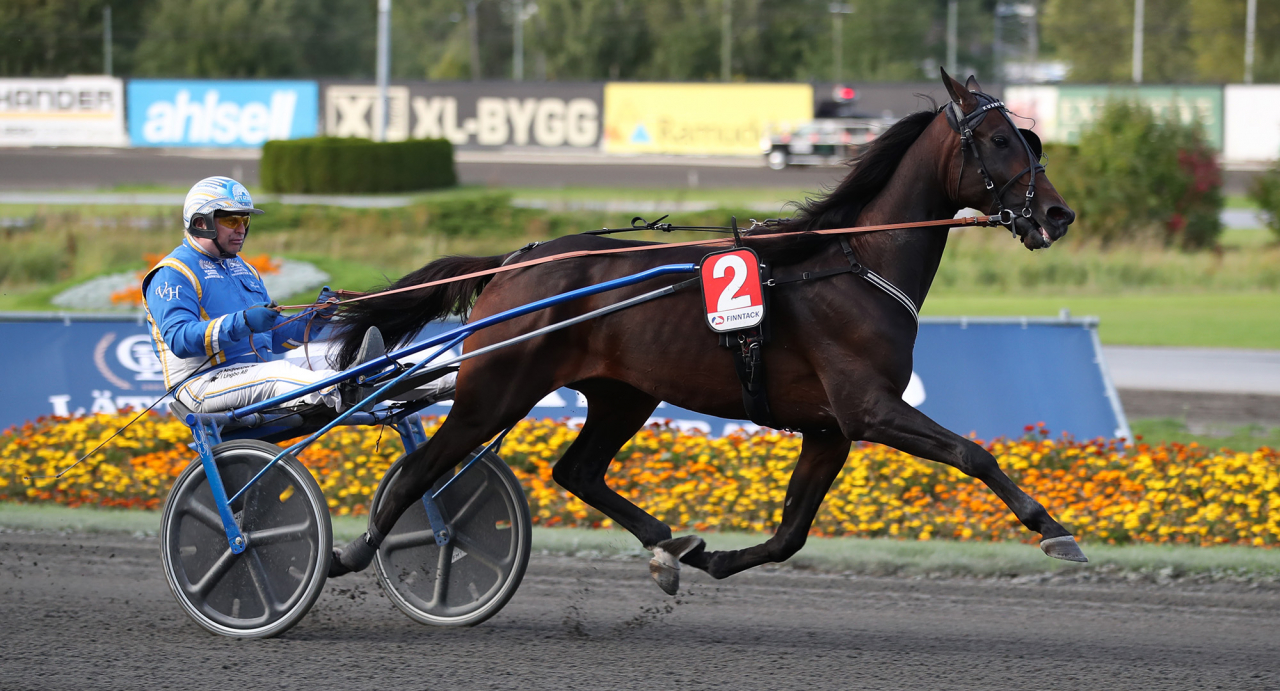 Kurri Jari Boko för sin tidigare tränare Veijo Heiskanen. Foto Mathias Hedlund/Sulkysport