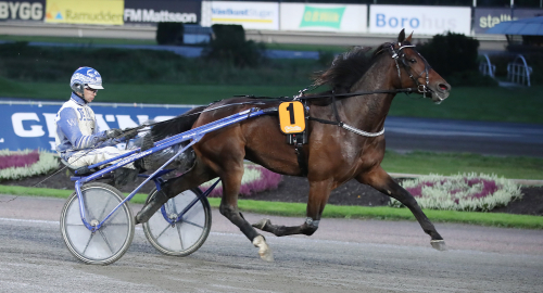 ”Merritt är bästa chansen”