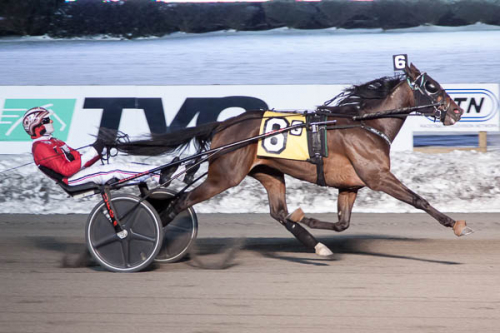 Nytt segerkapitel i snöväder