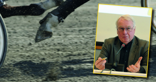 BAS sätter ner foten!