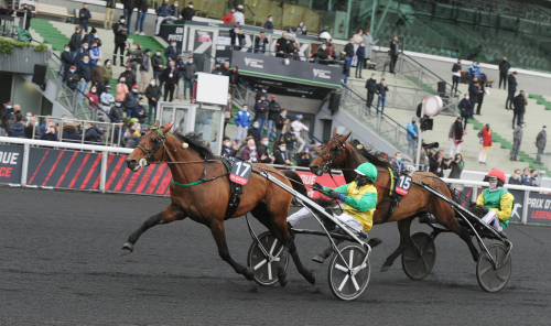 Prix d’Amérique-vinnare dyrast