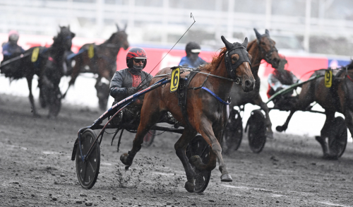 Inget kunde stoppa Inoubliable