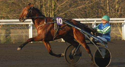 Ultrastammad debutvinnare