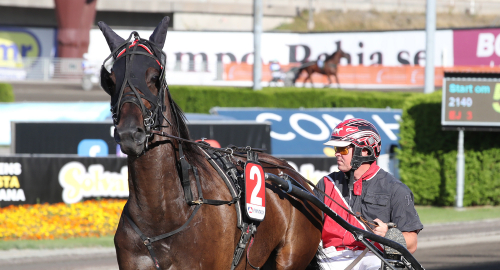 Tre hästar i stallet – två med i V75