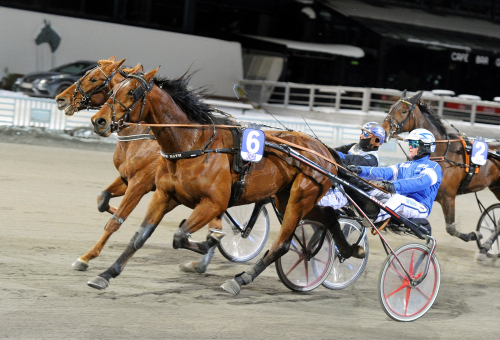 Chipper höll undan med huvud