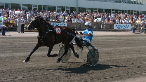 Stjärnstoets nya talang