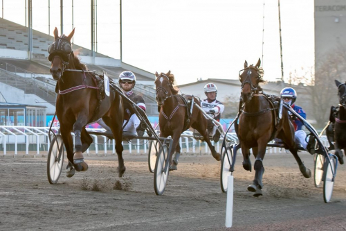 En debut som lovar mer