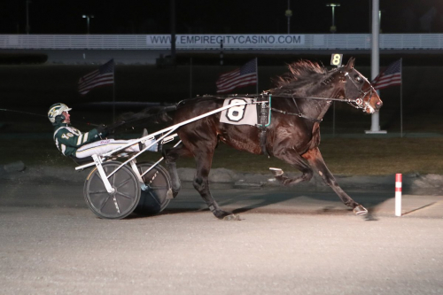 En vinnare på tre kontinenter!
