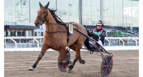 Ingen Klass I-final för Maestro