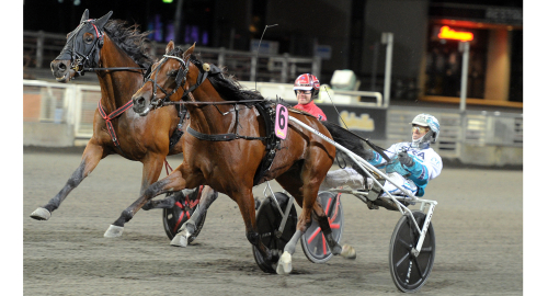 V75-tips: Gott Klirr i kassan