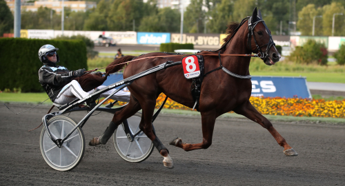 1.12-jobb på väg till Fyraåringseliten