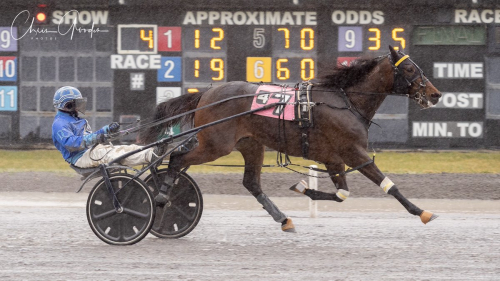 En sjutusan till häst