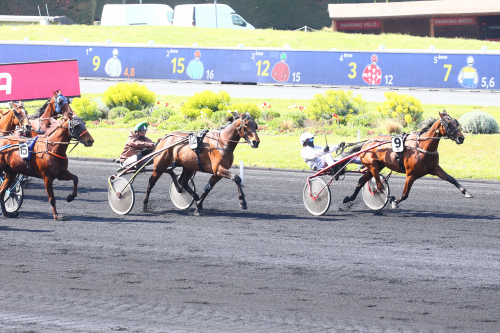 Wild Love övertygade