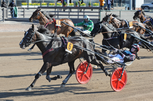 Dear Friend på löpningsrekord