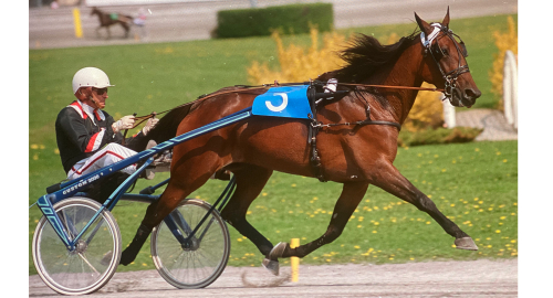 Florence för superblodet vidare