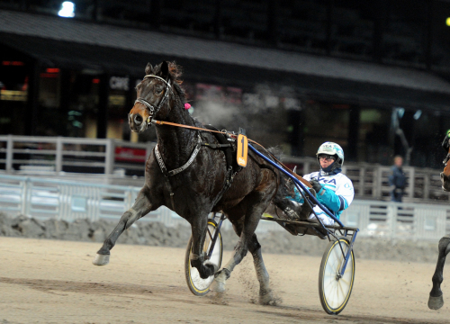 Hickothepooh till Finlandia-Ajo