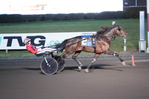 Blågul trippel i New Jersey