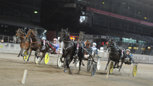 Mot tredje Elitloppet