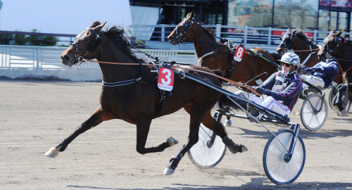 V75: ”Kommer göra sitt bästa lopp”