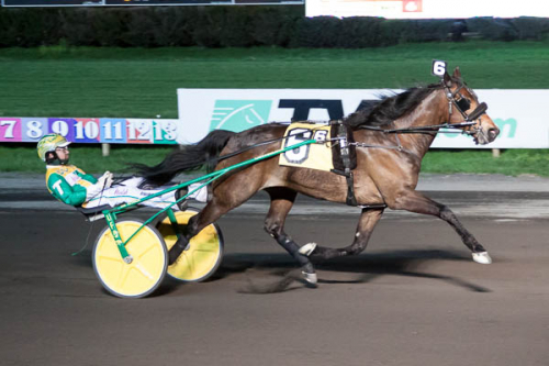 Årets snabbaste travare