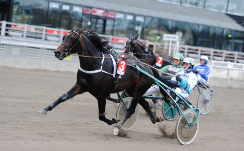 En Shejk med stora resurser