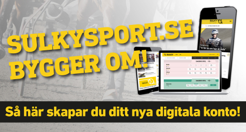 Ny inloggning – så här gör du