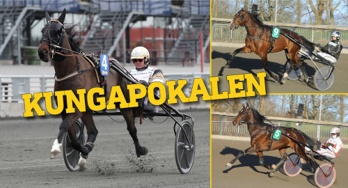 Det snackas om Kungapokalen…