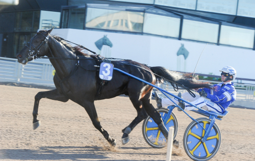 ”Spel mot ett mål”