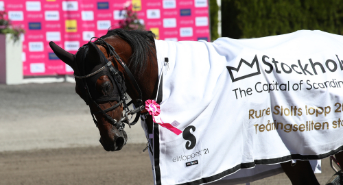 4,9 miljoner extra under Elitloppsdagen