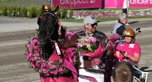 Lottat till Elitloppet