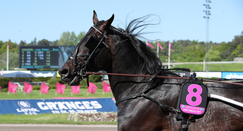 Första segern sedan Elitloppet