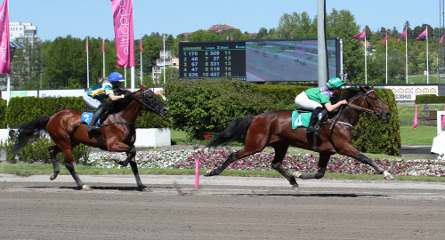 Skrattmatch på världsrekord