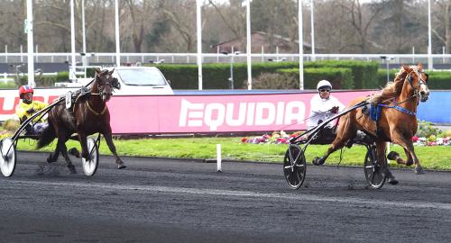 Kallblodet som är obesegrad på Vincennes