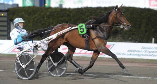 Kulldrottningen vann trots galopp