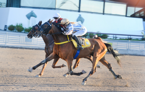 Linus, vilken rekordpojke!