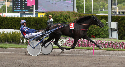 Från hyss till fet prischeck