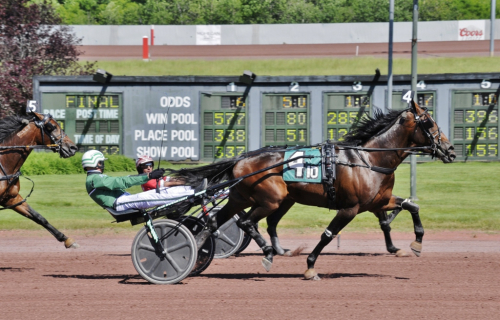 Vinst och förlust för Svanstedt