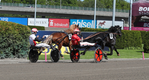 Titelförsvararen till Elitkampen