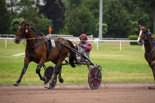Enkelt för långluffare