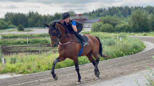 ”Åker inte till Åby för att bli tvåa”