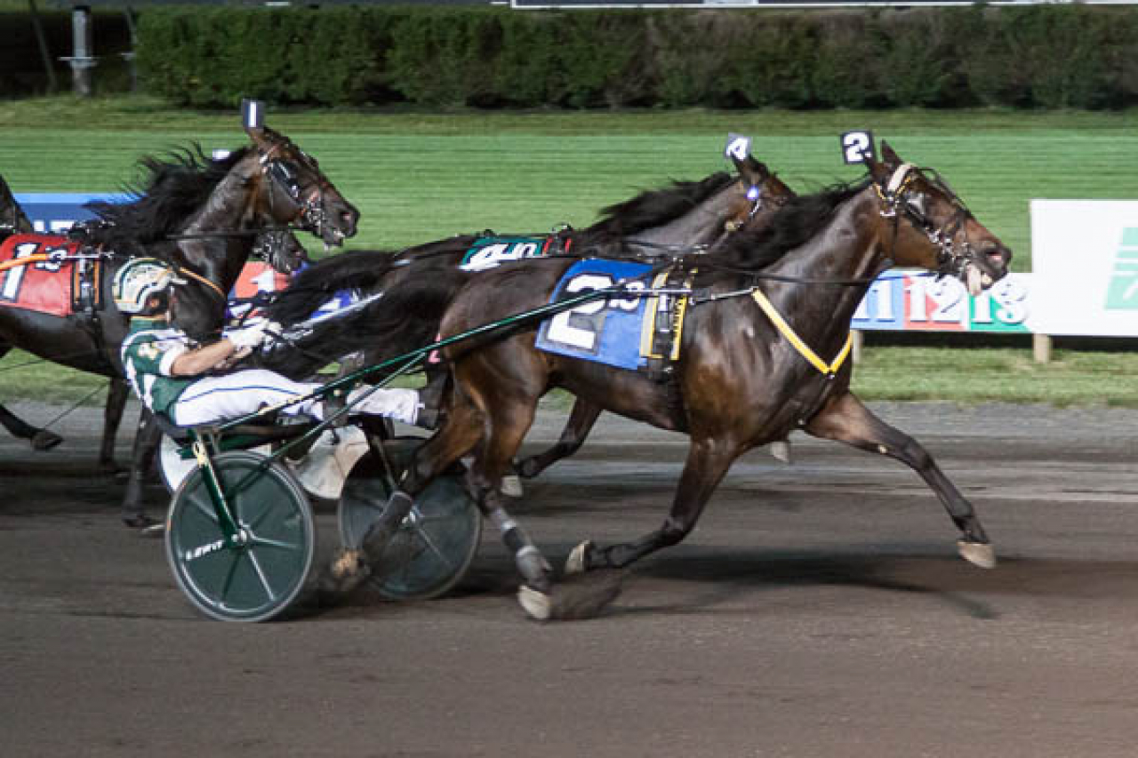 Atlanta spurtvinner för Yannick Gingras i natt på Meadowlands. Foto: Lisa Photo