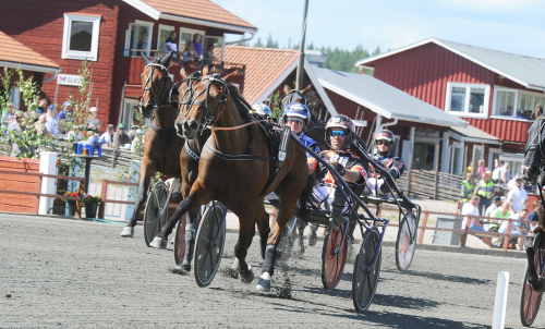 Kallblod möter varmblod