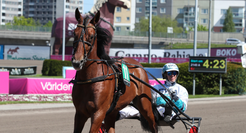 Storloppsvinst till Gocciadoro