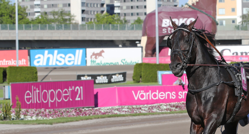 Elitloppet tappar i attraktion